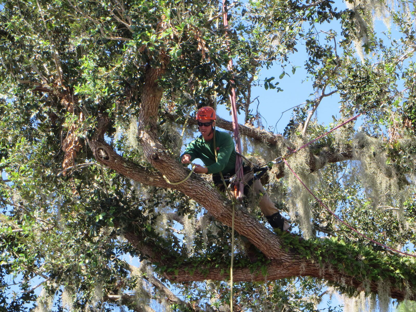 Brevard Screen Enclosures