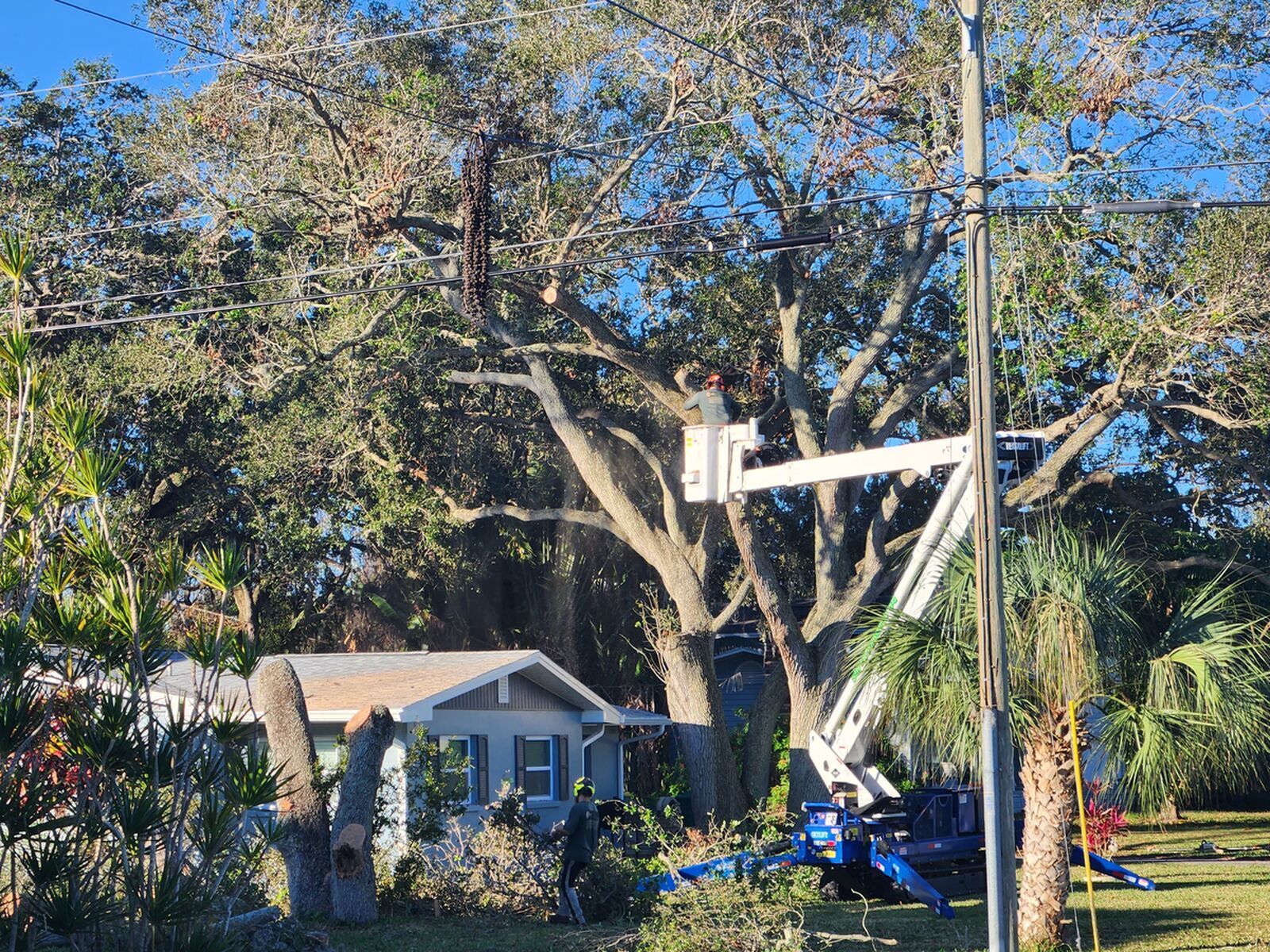 Brevard Screen Enclosures