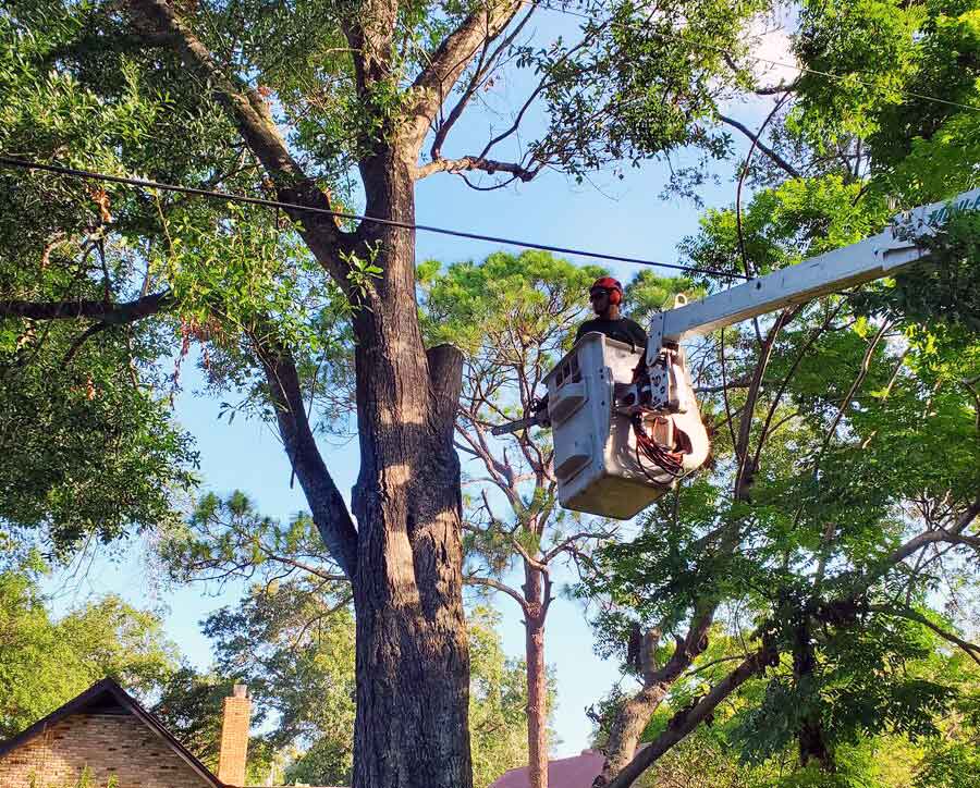 Brevard Screen Enclosures